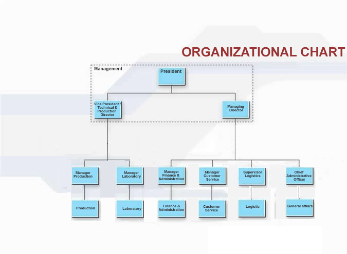 Organizationl chart